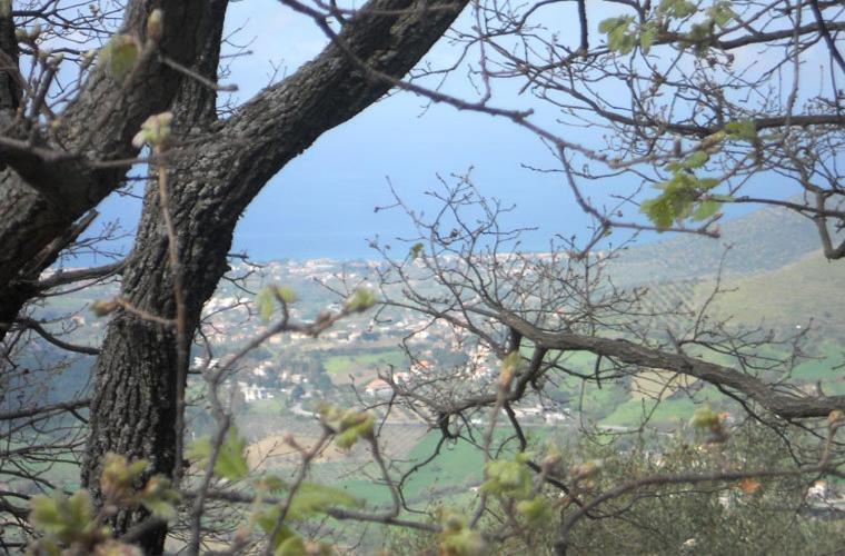 Gasthaus Casale Il Gheppio Laureana Cilento Exterior foto