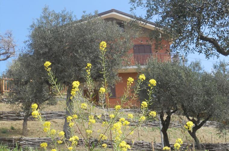 Gasthaus Casale Il Gheppio Laureana Cilento Exterior foto